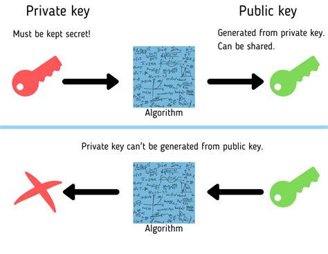 gpg export public and private key