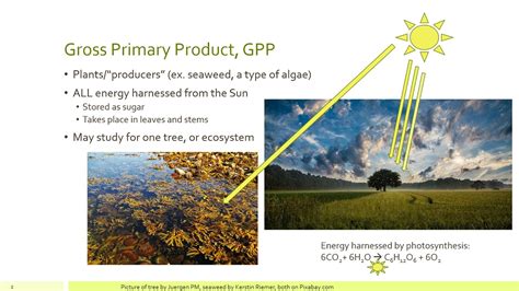 gpp environmental