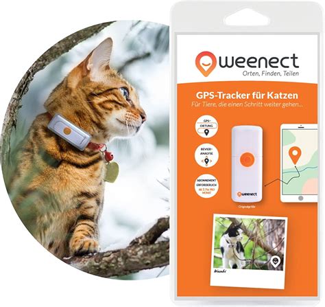 Kippy Vita GPS Tracker für Hunde und Katzen mit Trend 2022