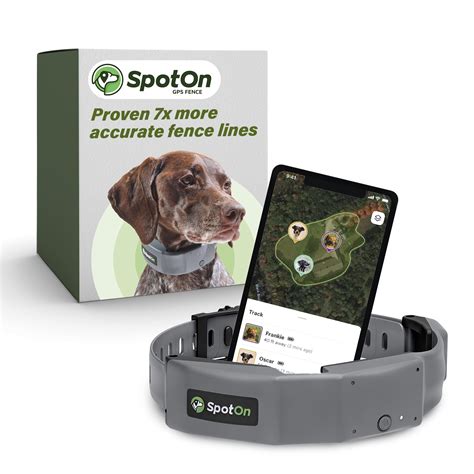 Gps Dog Collar Target