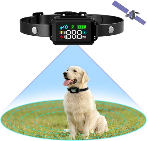 Gps Dog Collars Amazon