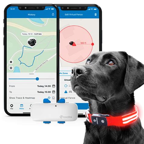 gps dog tracker