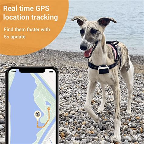 Gps Dog Tracker Uk