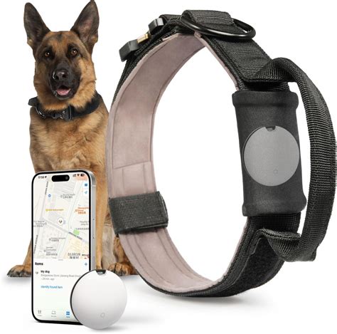 Gps Dog Tracking Collar Amazon