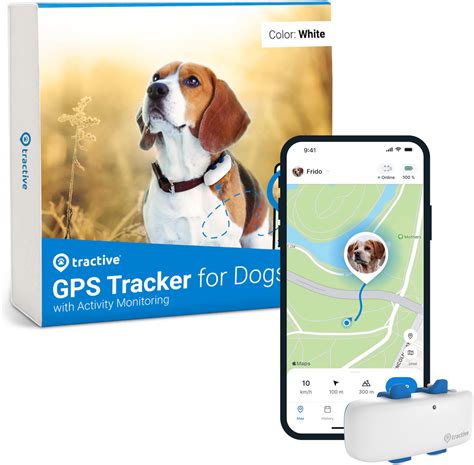 gps dog trainer