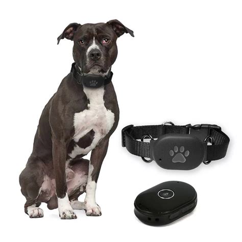 Gps Tracker Chip For Pets