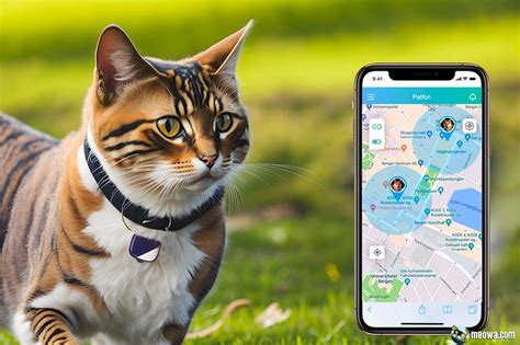 gps tracker for cats