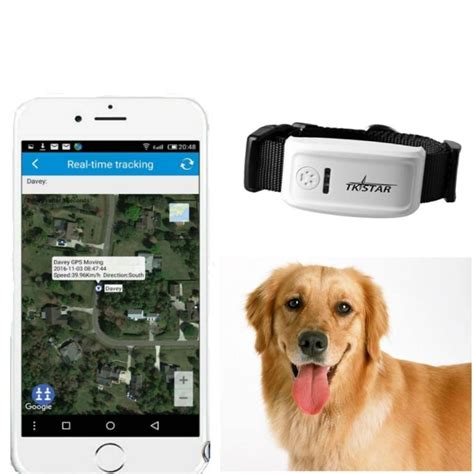 GPSTracker für Hunde von Tractive im Test Weglaufen ist zwecklos!