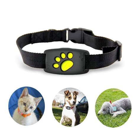 gps tracker katze