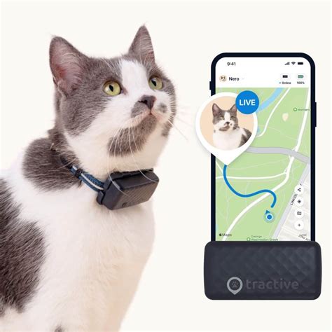 Gps Tracking Cats