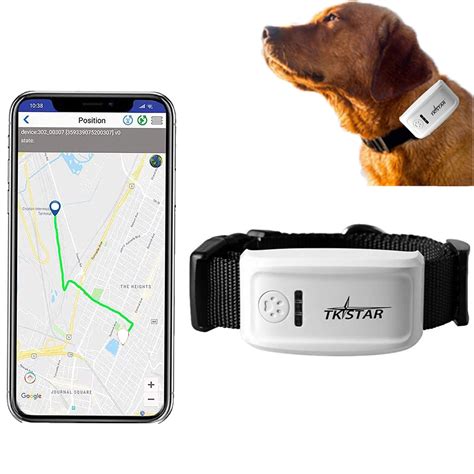 gps tracking systems for small pets
