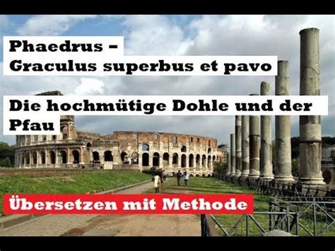 View Graculus Superbus Et Pavo