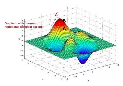 gradient ascent algorithm