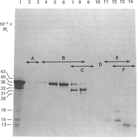 Gradient Gel Chromatography