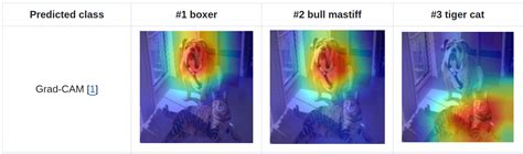 Gradienttape Gradcam