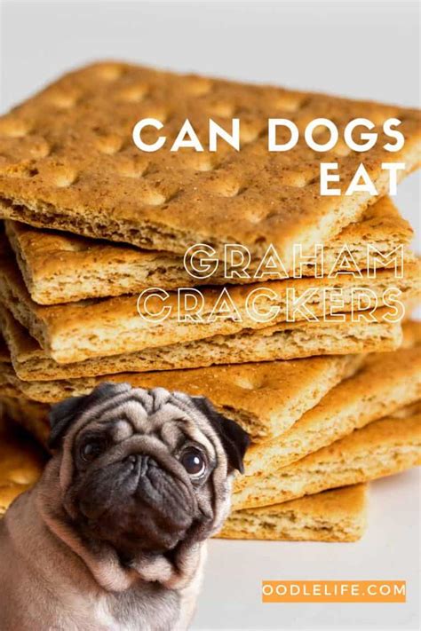 Graham Cracker Dogs