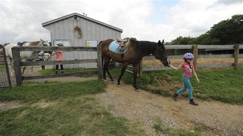 graham equestrian center