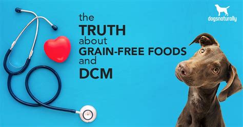 grain free diet and dcm in dogs