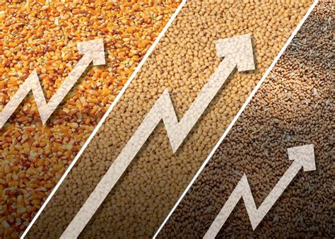 grain futures market commentary
