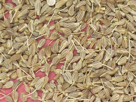 Des graines d'anis