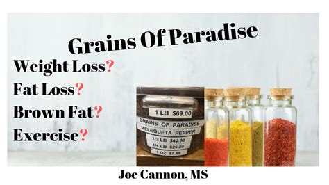 grains of paradise weight loss