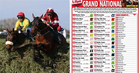 grand national 2023 declared runners