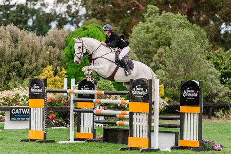 grand prix jumping horses for sale