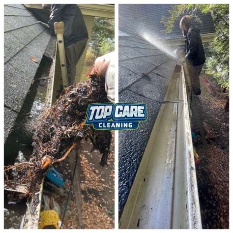 grand rapids gutter cleaning