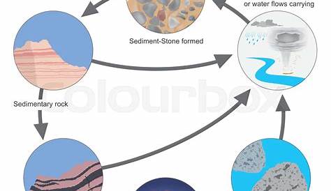 Granite Rock Cycle Diagram C. ESS25 Webquest Earth Systems Science