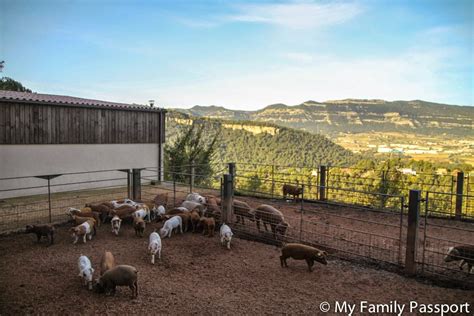 granja de animales cerca de barcelona