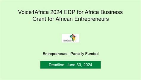 grants for african entrepreneurs 2024