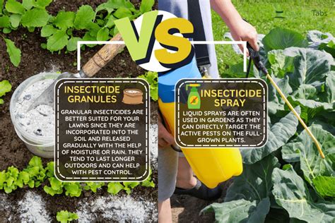 Granules Vs Liquid Insecticide