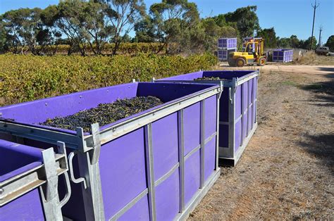 Grape Bin Liners
