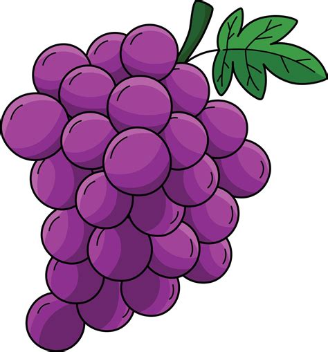 Grape Cartoon Art