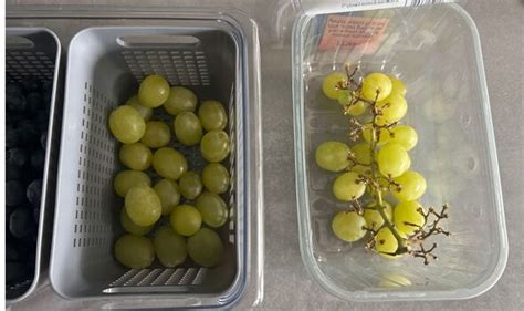 grape container for fridge