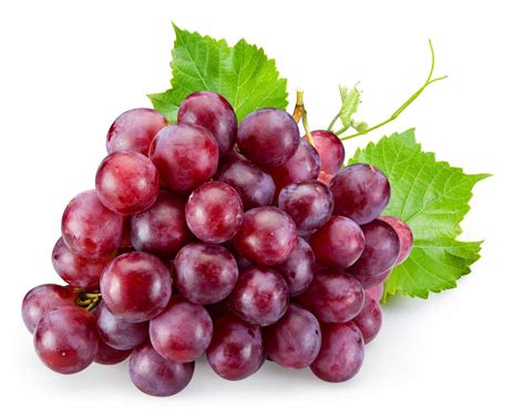Grape Definition Synonym