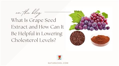 Grape Seed And Cholesterol