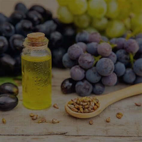 Grape Seed Extract Kidney Function