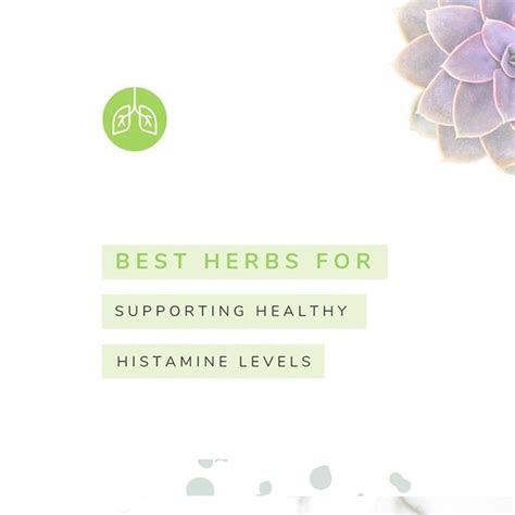 Grape Seed Histamine