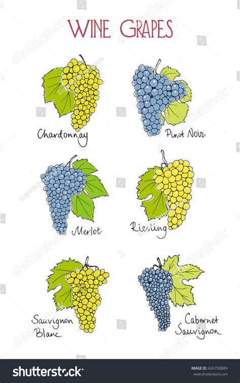 Grape selection for wine