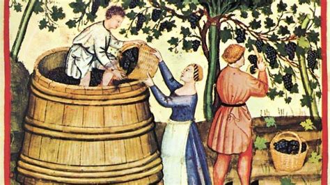 Grape Stomping History