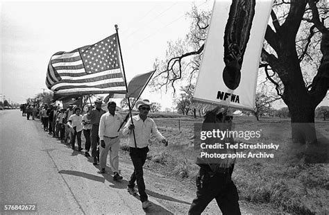 Grape Strike Definition