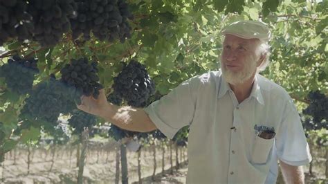 Grape Technical Definition