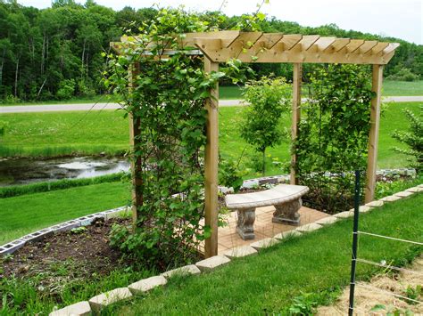 Grape Trellis With Bench