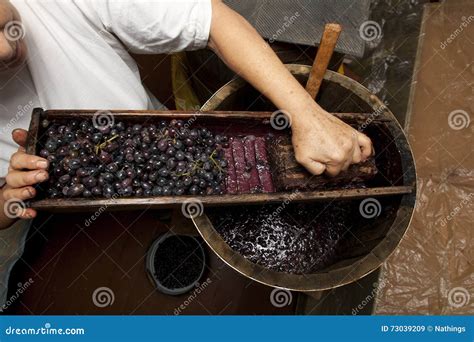 Making wine stock photo. Image of rural, production, italy 46317934