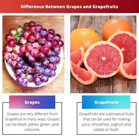 Grapefruit Example In A Sentence