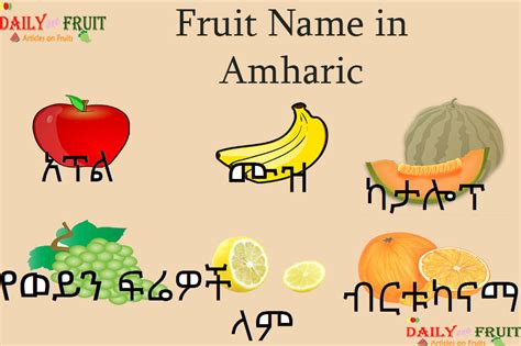 Grapefruit In Amharic
