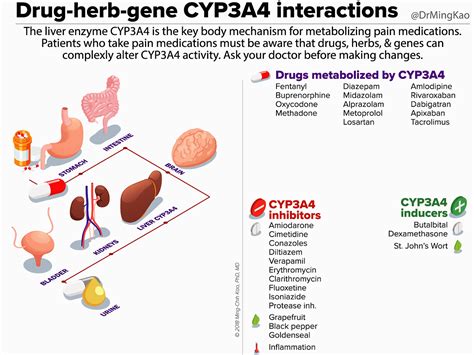 grapefruit interaction with apixaban