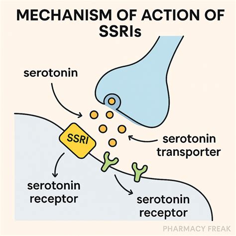 Grapefruit Ssri Interaction