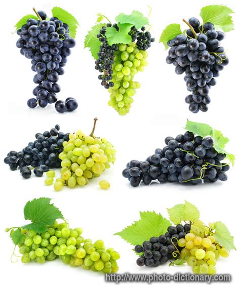 Grapes In Definition